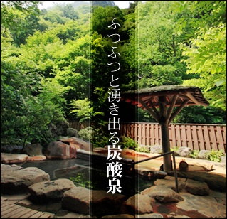 ふつふつと湧き出る炭酸泉