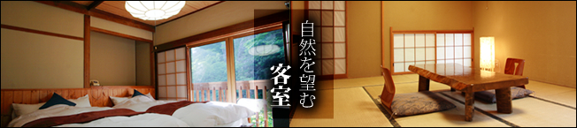 自然を望む客室